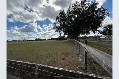 Horseshoe Hills Place, Plant City, FL 33566 - Photo 4