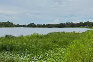 11325 Hidden Valley Ln, Riverview, FL 33569 - Photo 98