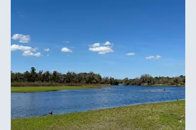 11325 Hidden Valley Lane, Riverview, FL 33569 - Photo 2