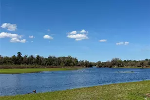 11325 Hidden Valley Ln, Riverview, FL 33569 - Photo 2