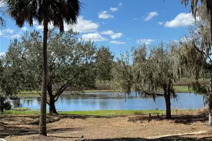 11325 Hidden Valley Ln, Riverview, FL 33569 - Photo 66