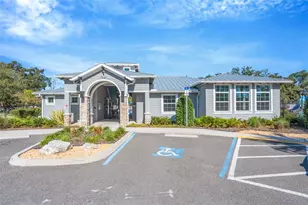 7031 Towering Spruce Dr, Riverview, FL 33578 - Photo 44