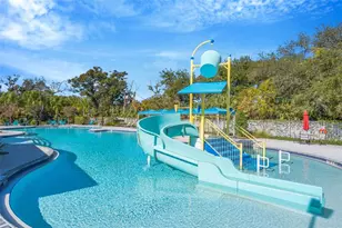 7031 Towering Spruce Dr, Riverview, FL 33578 - Photo 46