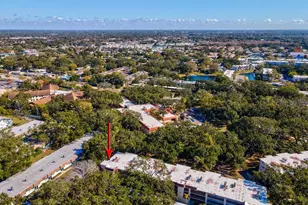 865 Virginia Ct, Dunedin, FL 34698 - Photo 62