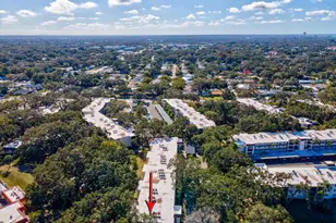 865 Virginia Ct, Dunedin, FL 34698 - Photo 56