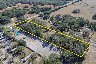 106 Corbett Rd, Lithia, FL 33547 - Photo 86