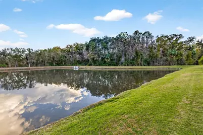 27020 Evergreen Chase Drive, Wesley Chapel, FL 33544 - Photo 80