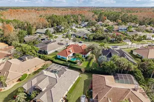 12109 Clear Harbor Dr, Tampa, FL 33626 - Photo 66