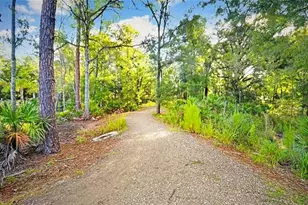 4206 Tour Trce, Land O Lakes, FL 34638 - Photo 58