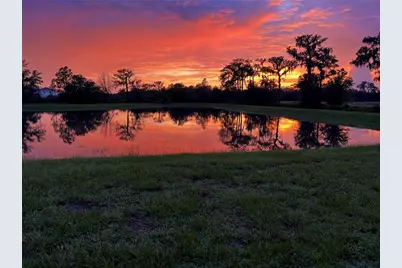 32992 Major Oak Drive, Wesley Chapel, FL 33545 - Photo 32