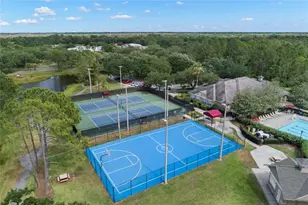 15321 Vireoglen Ln, Lithia, FL 33547 - Photo 60