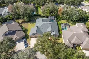 15321 Vireoglen Ln, Lithia, FL 33547 - Photo 48