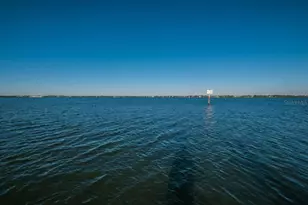 38 Ridgecroft Ln, Safety Harbor, FL 34695 - Photo 98