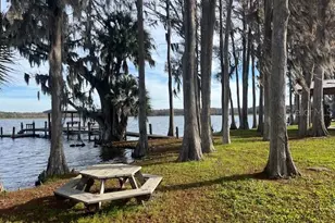 2842 Highlands Blvd, Palm Harbor, FL 34684 - Photo 4