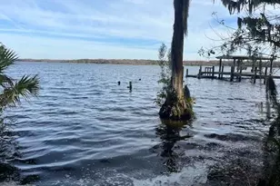 2842 Highlands Blvd, Palm Harbor, FL 34684 - Photo 20