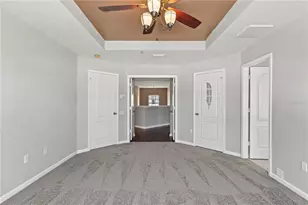 30419 Princess Bay Dr, Wesley Chapel, FL 33545 - Photo 26