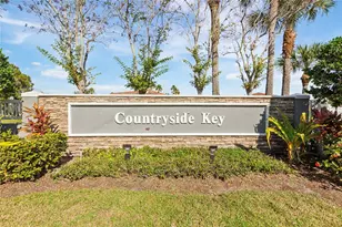 291 Countryside Key Blvd, Oldsmar, FL 34677 - Photo 34