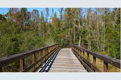 21842 Lyonia Lane, Land O Lakes, FL 34637 - Photo 34