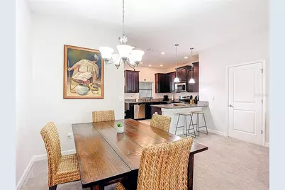 28599 Tranquil Lake Circle, Wesley Chapel, FL 33543 - Photo 12