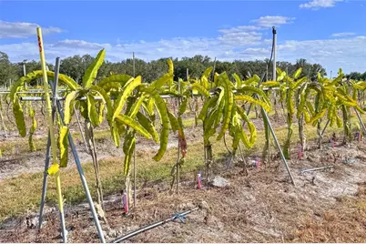 6018 NW County Road 661A, Arcadia, FL 34266 - Photo 96