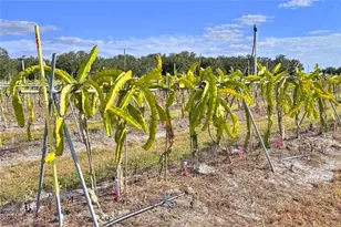 6018 NW County Road 661A, Arcadia, FL 34266 - Photo 96