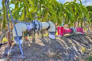 6018 NW County Road 661A, Arcadia, FL 34266 - Photo 98