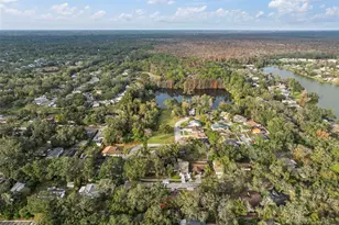 14801 Oak Vine Dr, Lutz, FL 33559 - Photo 66