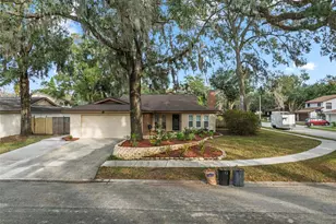 14801 Oak Vine Dr, Lutz, FL 33559 - Photo 1