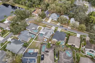 6528 Steeplechase Dr, Tampa, FL 33625 - Photo 66