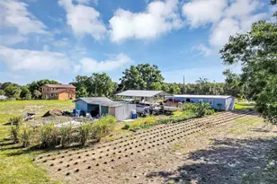 4162 Laughlin Rd, Mount Dora, FL 32757 - Photo 24