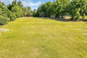 4162 Laughlin Rd, Mount Dora, FL 32757 - Photo 28