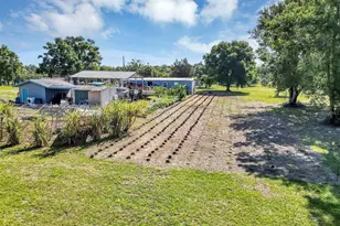 4162 Laughlin Rd, Mount Dora, FL 32757 - Photo 26