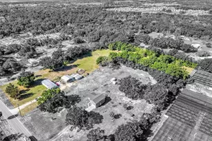 4162 Laughlin Rd, Mount Dora, FL 32757 - Photo 32