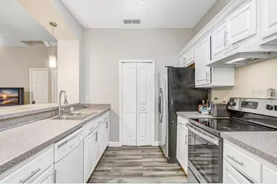 5032 Sunridge Palms Drive, Tampa, FL 33617 - Photo 8