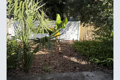317 Plymouth Street, Safety Harbor, FL 34695 - Photo 34
