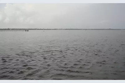 317 Plymouth Street, Safety Harbor, FL 34695 - Photo 40