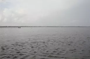 317 Plymouth St, Safety Harbor, FL 34695 - Photo 40