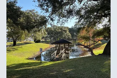 317 Plymouth Street, Safety Harbor, FL 34695 - Photo 14