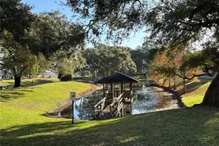 317 Plymouth St, Safety Harbor, FL 34695 - Photo 14