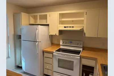 317 Plymouth Street, Safety Harbor, FL 34695 - Photo 18