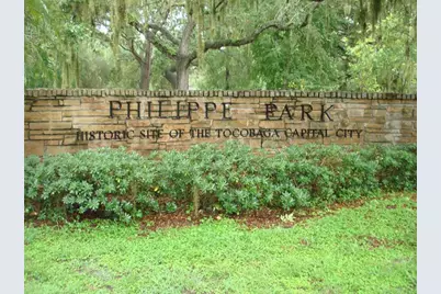 317 Plymouth Street, Safety Harbor, FL 34695 - Photo 38