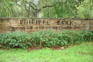 317 Plymouth St, Safety Harbor, FL 34695 - Photo 38