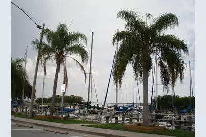 317 Plymouth Street, Safety Harbor, FL 34695 - Photo 36