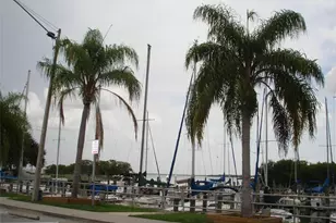 317 Plymouth St, Safety Harbor, FL 34695 - Photo 36