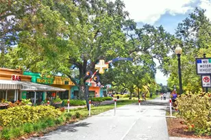 9 Forbes Pl, Dunedin, FL 34698 - Photo 56