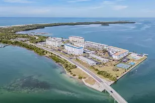 9 Forbes Pl, Dunedin, FL 34698 - Photo 46