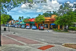 9 Forbes Pl, Dunedin, FL 34698 - Photo 58