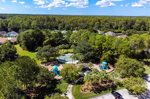 14526 Weeping Elm Dr, Tampa, FL 33626 - Photo 36