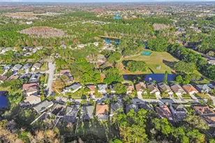 14526 Weeping Elm Dr, Tampa, FL 33626 - Photo 34