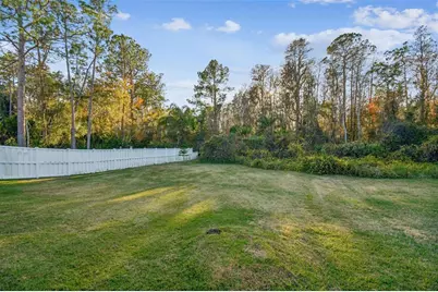 14526 Weeping Elm Drive, Tampa, FL 33626 - Photo 28